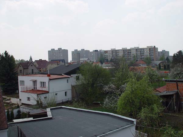 Zpt